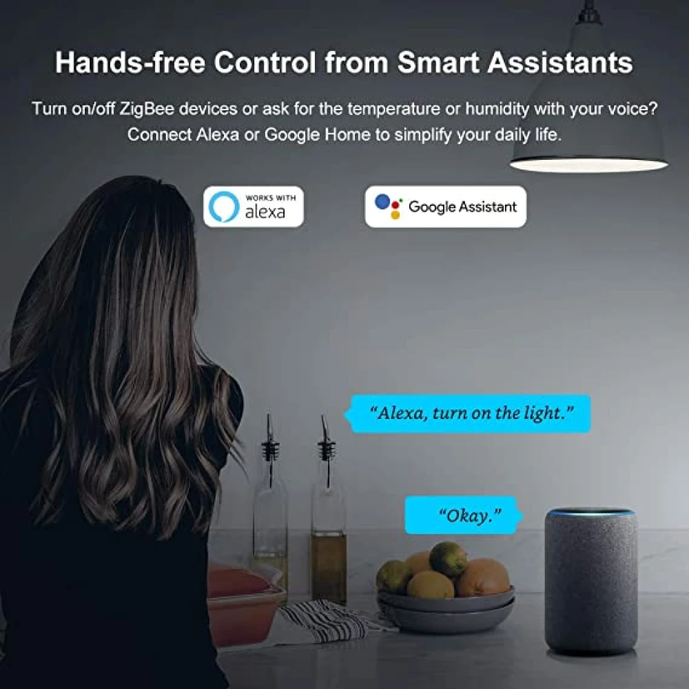 SONOFF ZBBridge: Intelligentes Zigbee-Gateway mit WiFi und Alexa